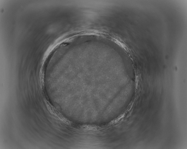 X0000083990343200703161628