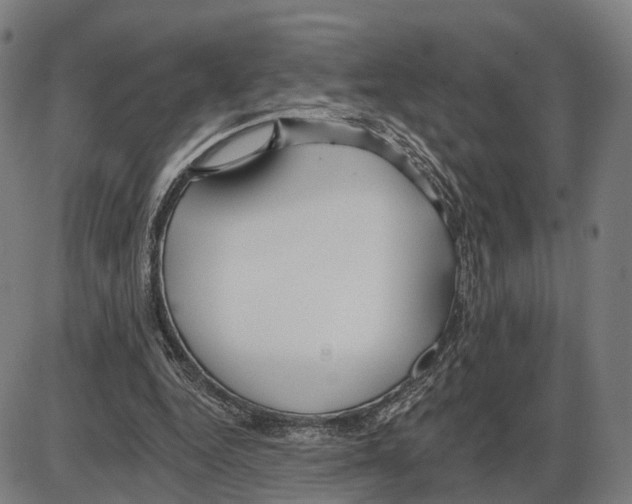 X0000083990344200703161628