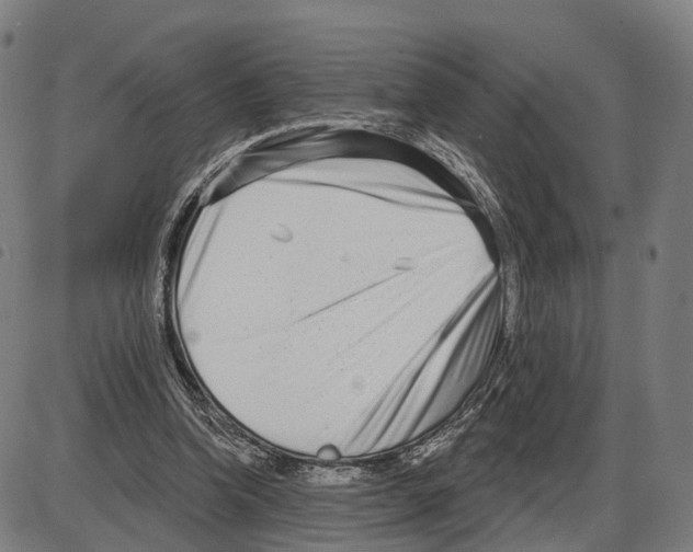 X0000083990346200703161628