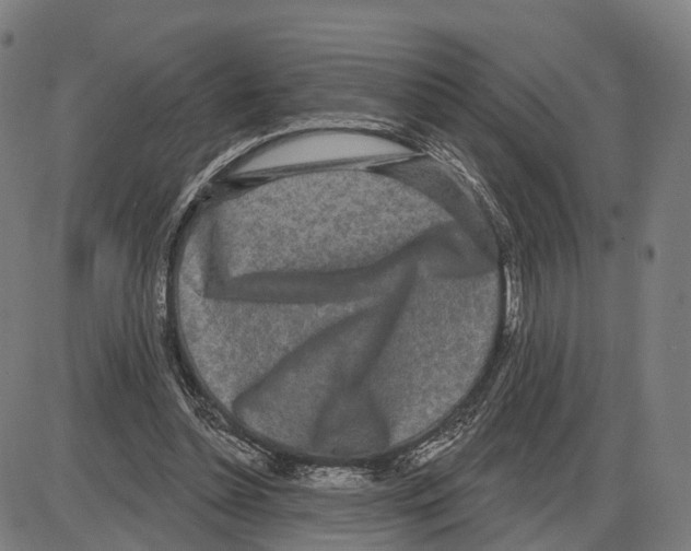 X0000083990348200703161628