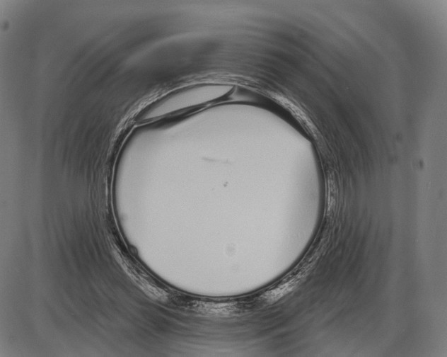 X0000083990349200703161628