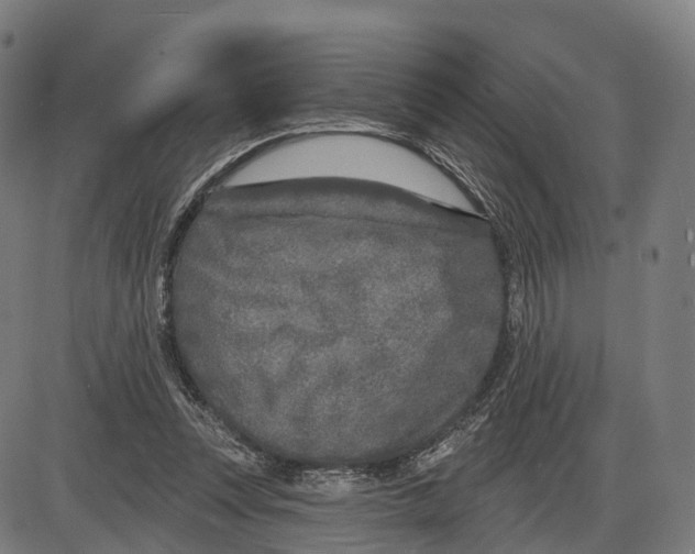 X0000083990351200703161628