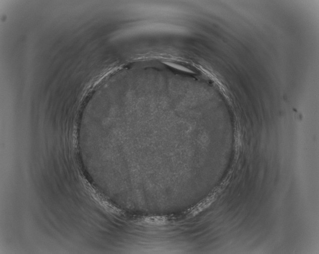 X0000083990353200703161628