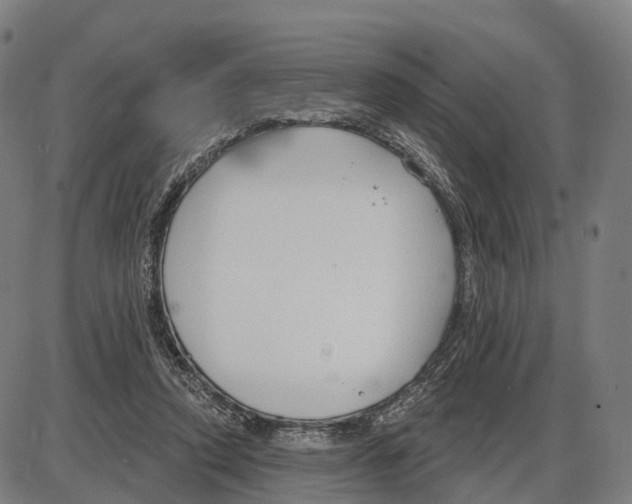 X0000083990354200703161628