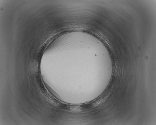 X0000083990355200703161628