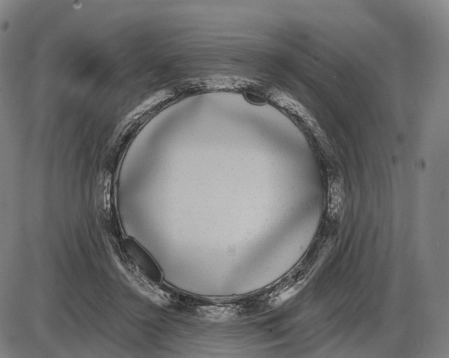 X0000083990356200703161628