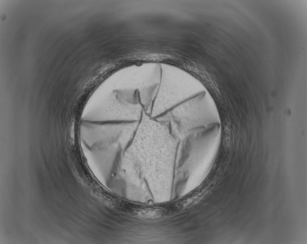 X0000083990358200703161629