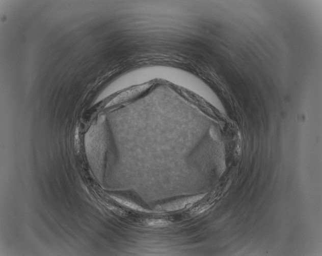 X0000083990360200703161629