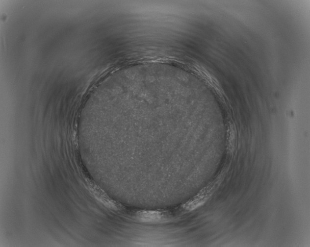 X0000083990361200703161629