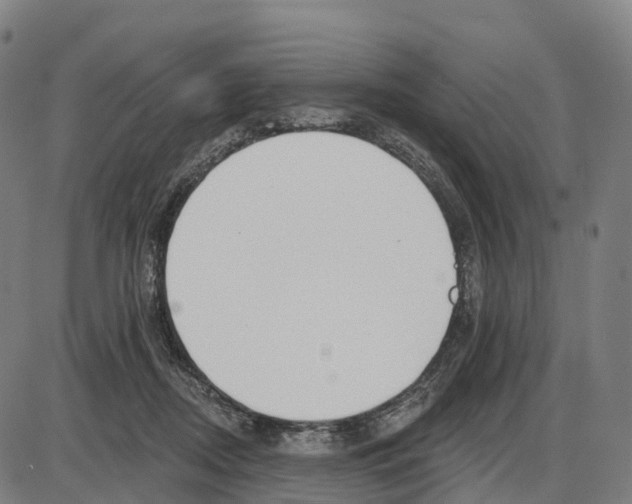 X0000083990362200703161629