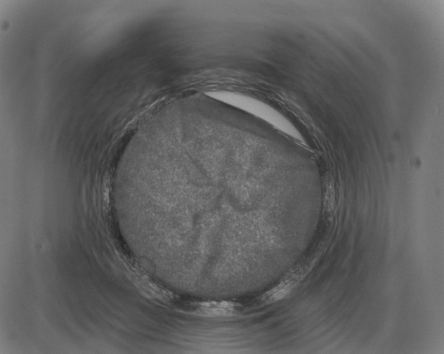 X0000083990363200703161629