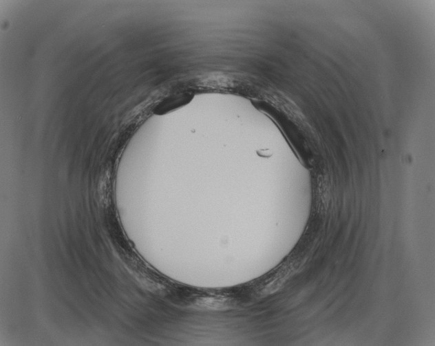 X0000083990364200703161629