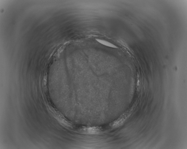 X0000083990365200703161629