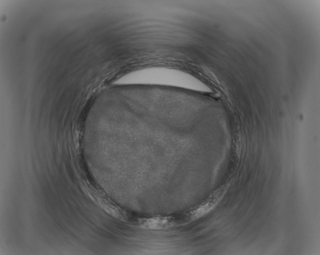 X0000083990366200703161629