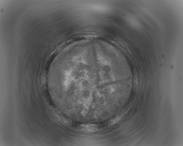 X0000083990367200703161629