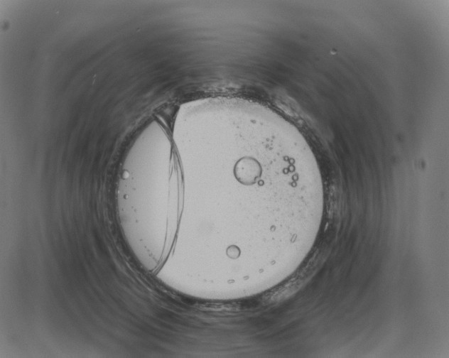 X0000083990370200703161629