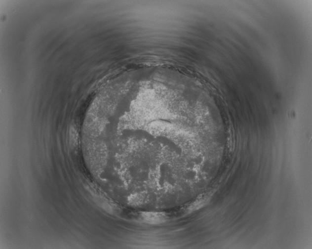 X0000083990371200703161629