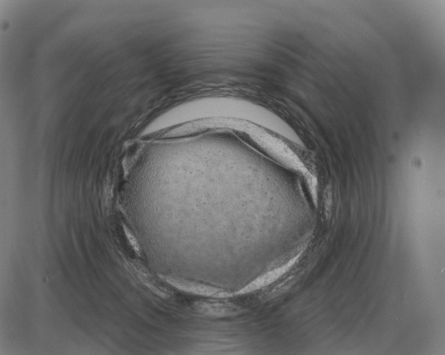 X0000083990372200703161629