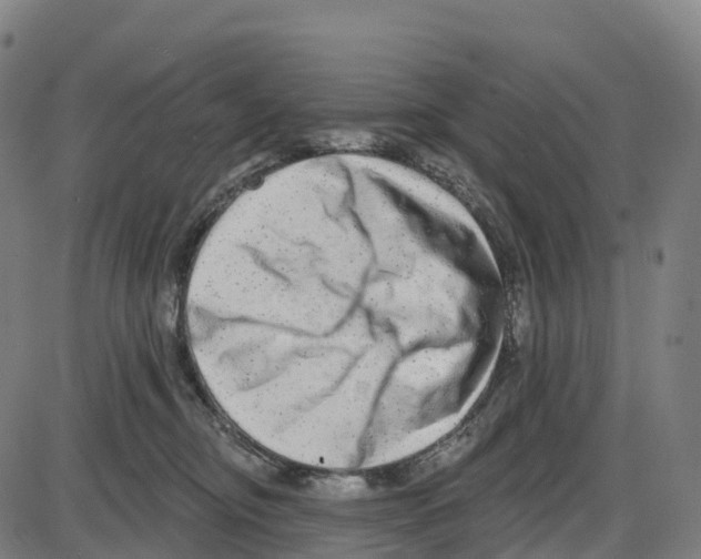 X0000083990374200703161629