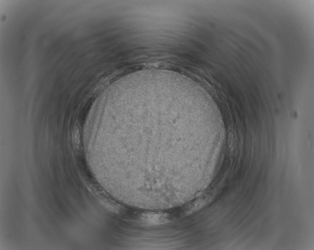 X0000083990375200703161629