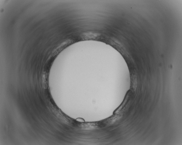 X0000083990378200703161629