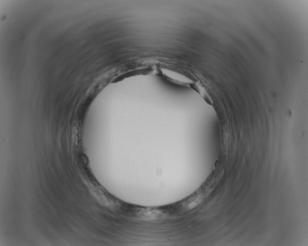 X0000083990379200703161629