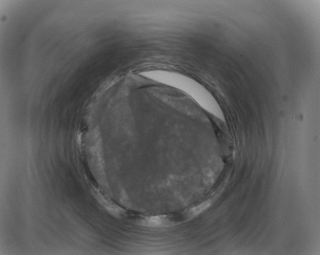 X0000083990382200703161629