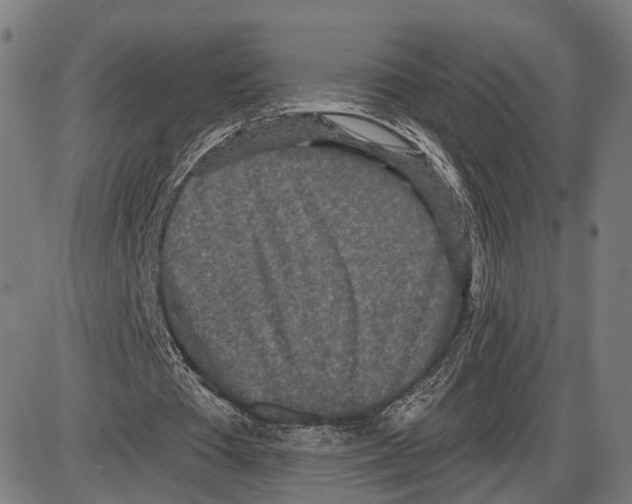 X0000083990385200703161628