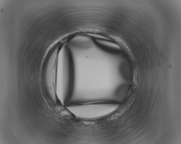 X0000083990388200703161628