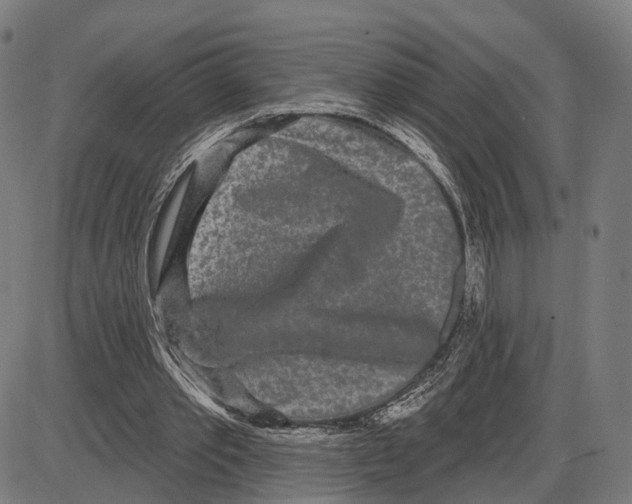 X0000083990389200703161628