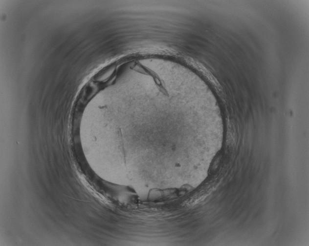 X0000083990391200703161628