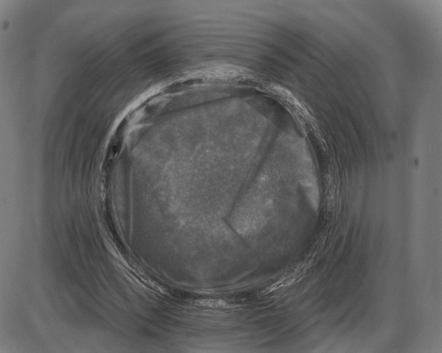 X0000083990392200703161628