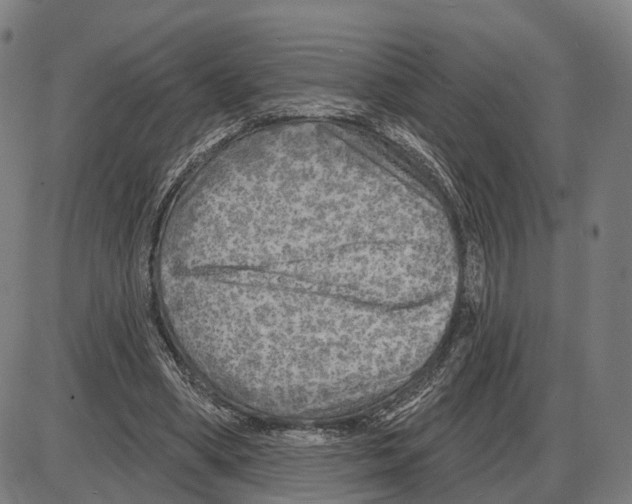 X0000083990394200703161628