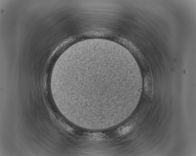 X0000083990396200703161628