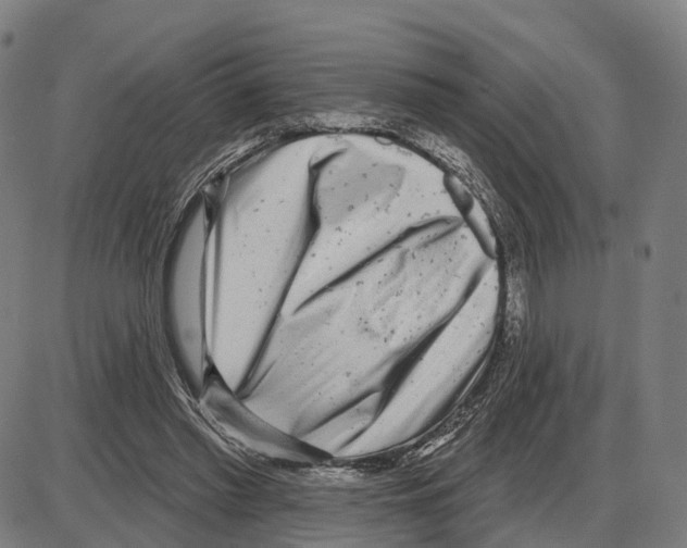 X0000083990397200703161628