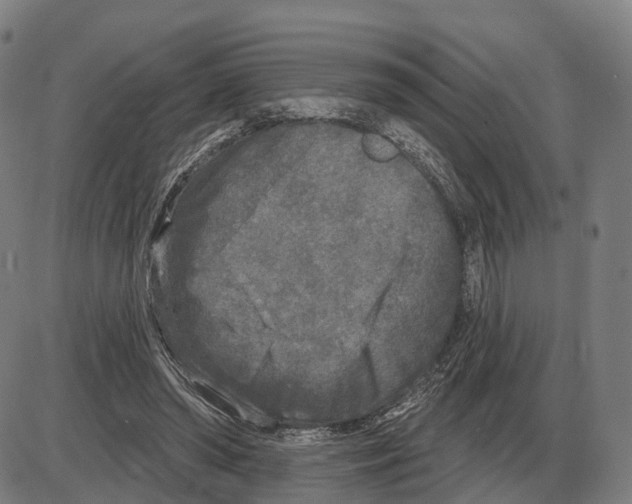 X0000083990398200703161628