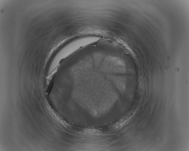 X0000083990399200703161628