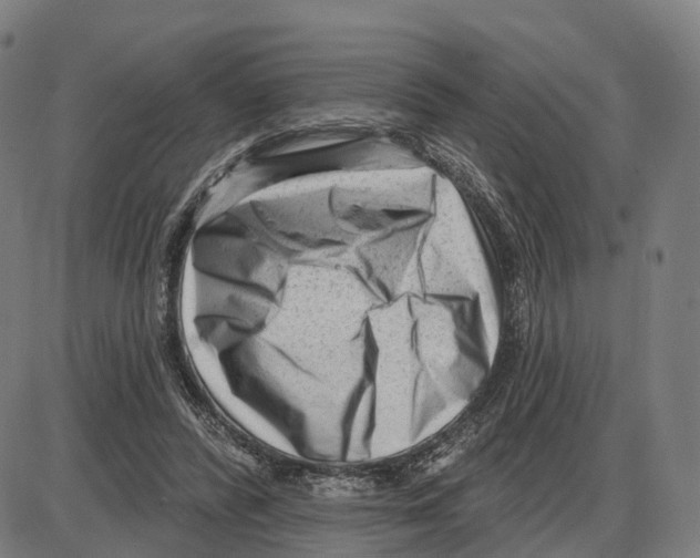 X0000083990400200703161628