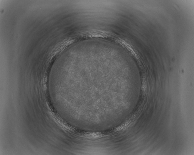 X0000083990402200703161628