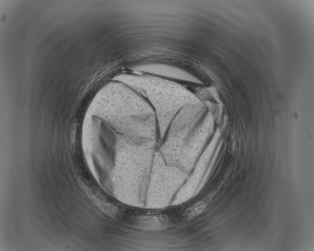 X0000083990404200703161628