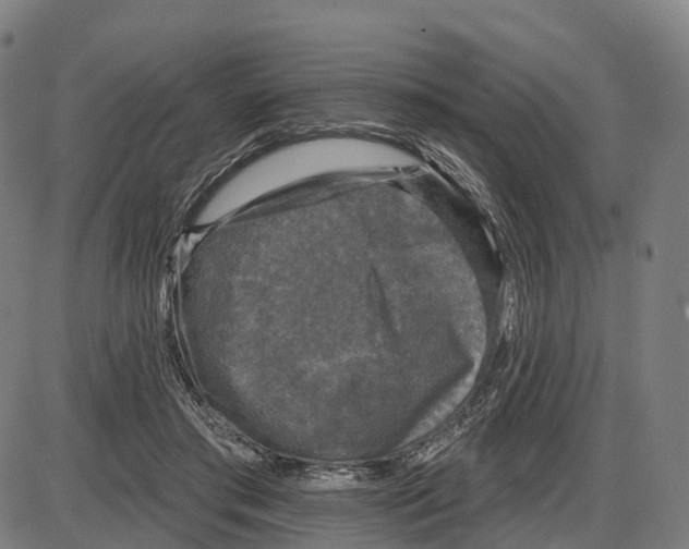 X0000083990405200703161628