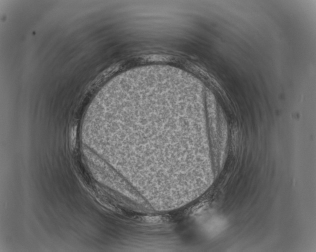 X0000083990406200703161628