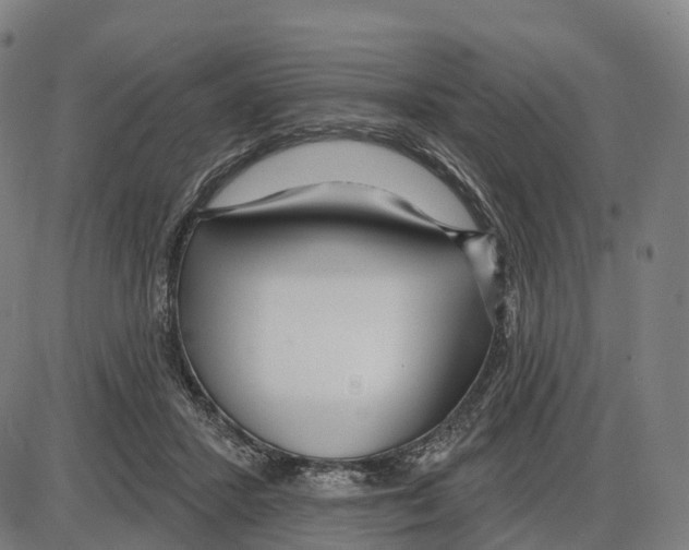 X0000083990407200703161628