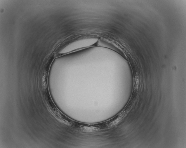 X0000083990408200703161628