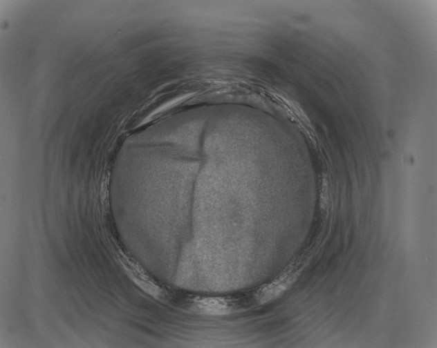 X0000083990409200703161628