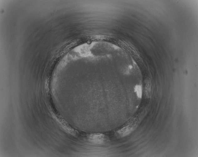 X0000083990410200703161628