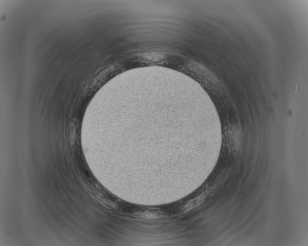 X0000083990412200703161628