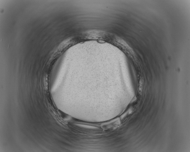 X0000083990413200703161628