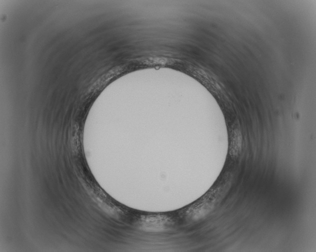 X0000083990414200703161628