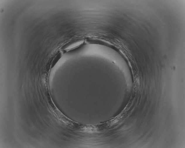 X0000083990415200703161628